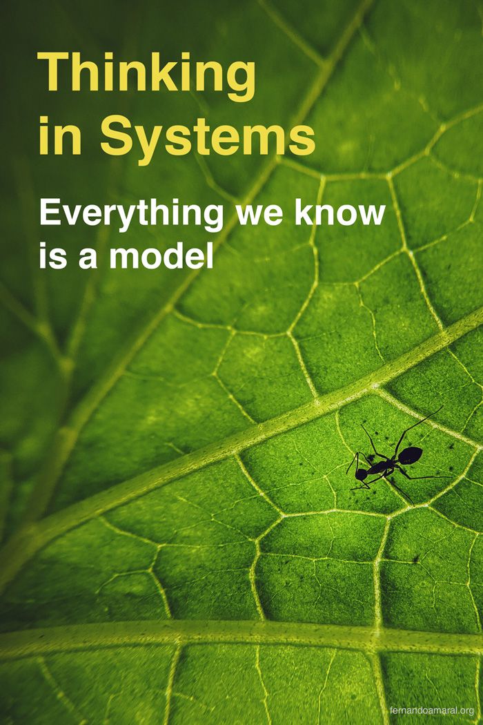 Thinking in Systems: Everything we know is a model